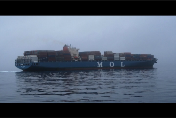 Thumbnail image for TYO_Slowing_Ships_for_Cleaner_Air_Safer_WhalesYSTV