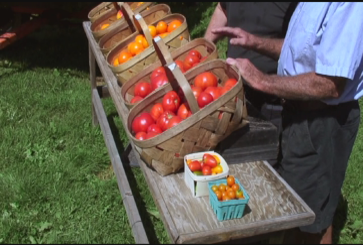 Thumbnail image for The Chefs Table: Best of Show H Veal Cannelloni